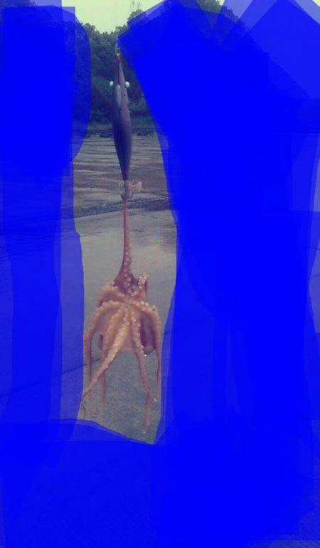 エギングランガン❤